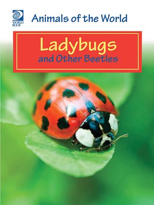 cover image of Ladybugs and Other Beetles